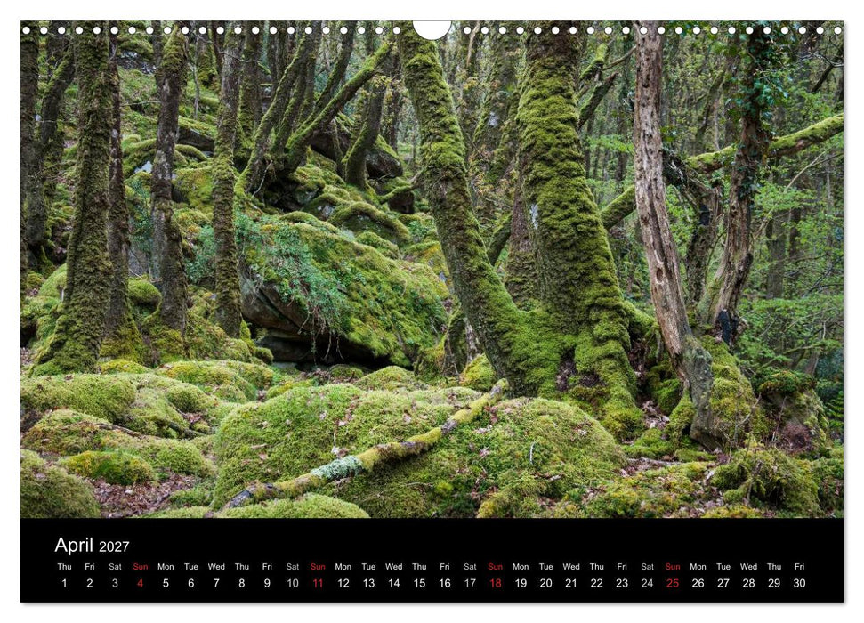 Scenes from Pembrokeshire (CALVENDO Monthly Calendar 2027)