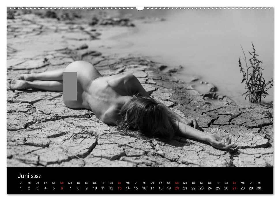 Weibsbilder (CALVENDO Wandkalender 2027)