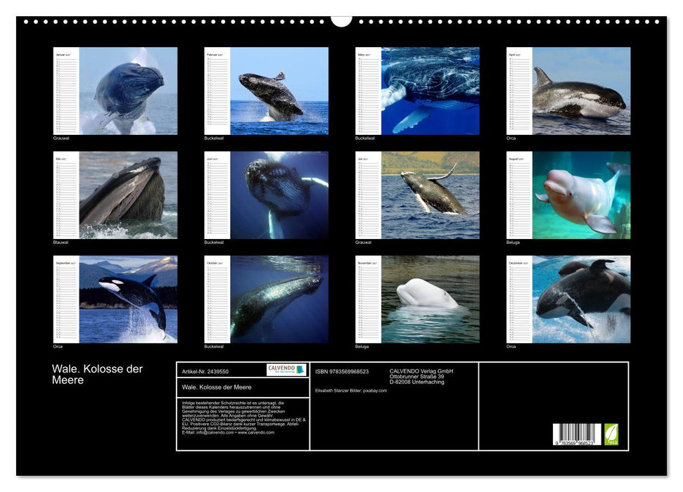 Wale. Kolosse der Meere (CALVENDO Wandkalender 2027)