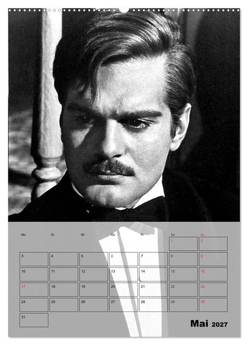 Filmstars - Legenden der goldenen Filmjahre (CALVENDO Premium Wandkalender 2027)