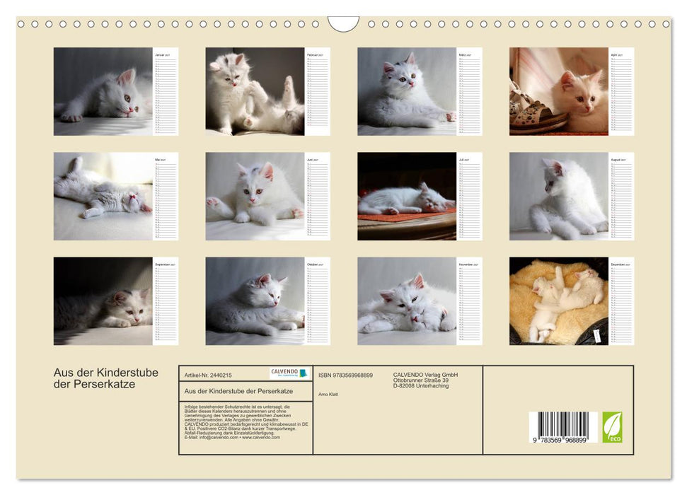 Aus der Kinderstube der Perserkatze (CALVENDO Wandkalender 2027)