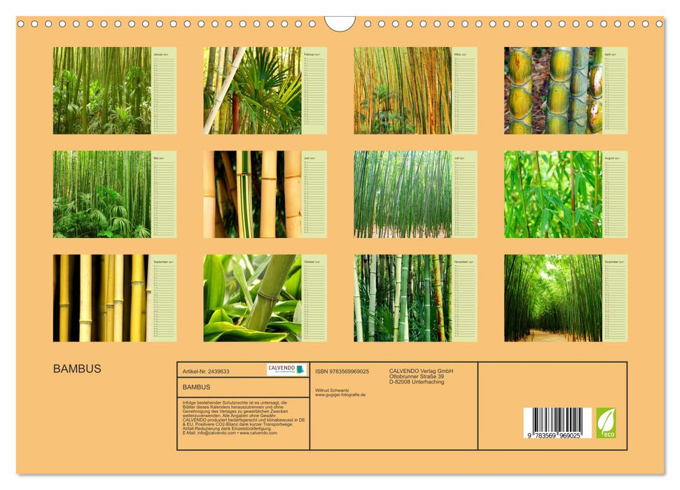 BAMBUS (CALVENDO Wandkalender 2027)