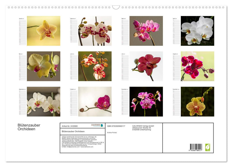 Blütenzauber Orchideen (CALVENDO Wandkalender 2027)