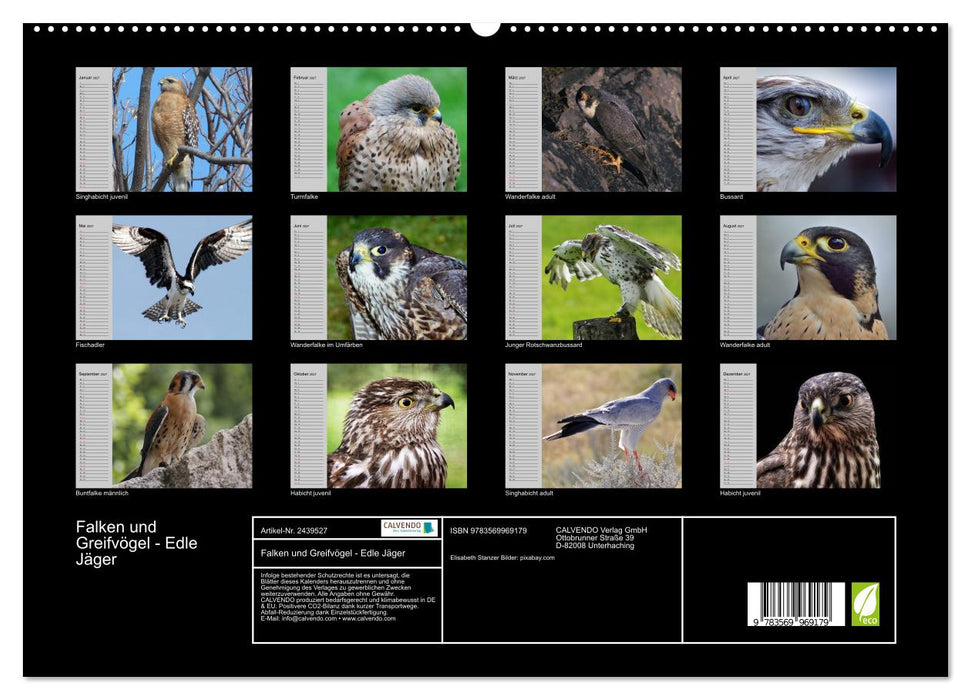 Falken und Greifvögel - Edle Jäger (CALVENDO Premium Wandkalender 2027)