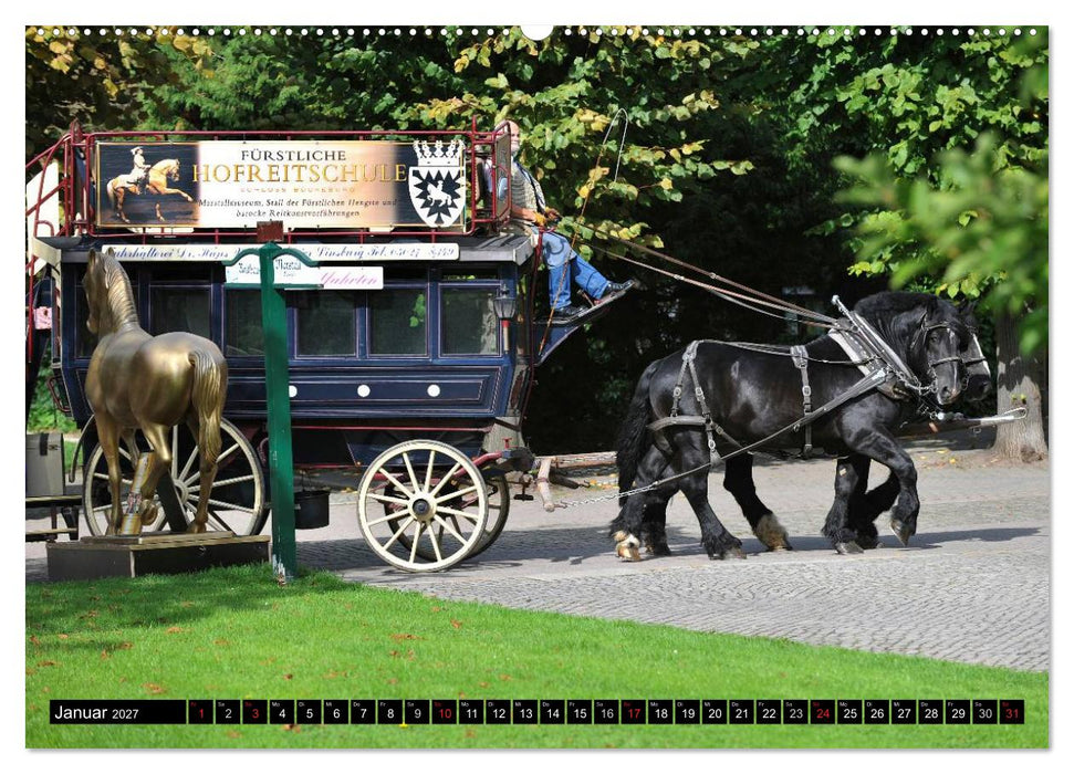 Traumpferde - Fürstliche Hofreitschule Bückeburg (CALVENDO Wandkalender 2027)