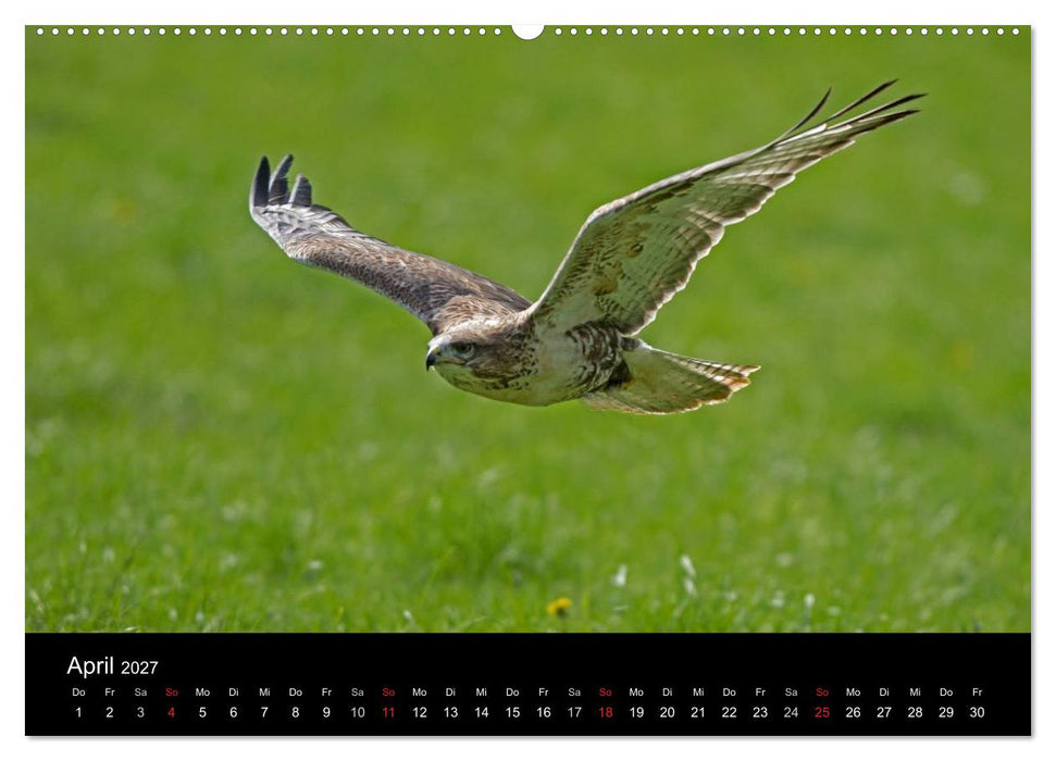 Wilde Heimat (CALVENDO Premium Wandkalender 2027)