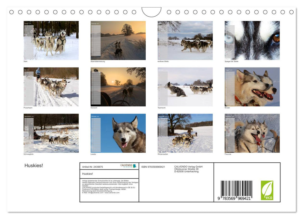 Huskies! (CALVENDO Wandkalender 2027)