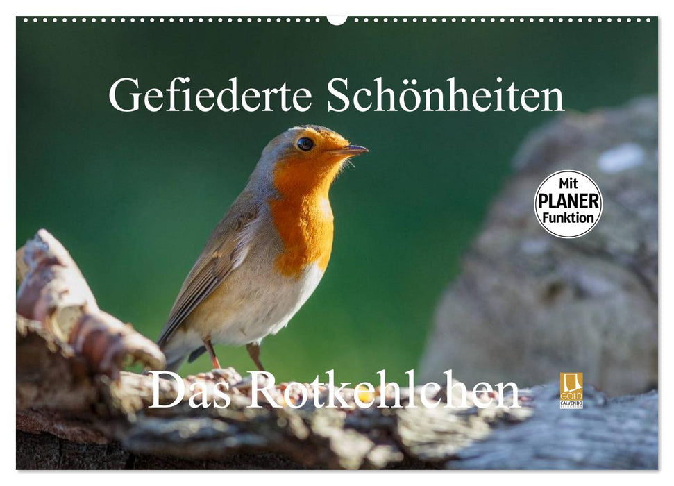 Gefiederte Schönheiten - Das Rotkehlchen / Planer (CALVENDO Wandkalender 2027)