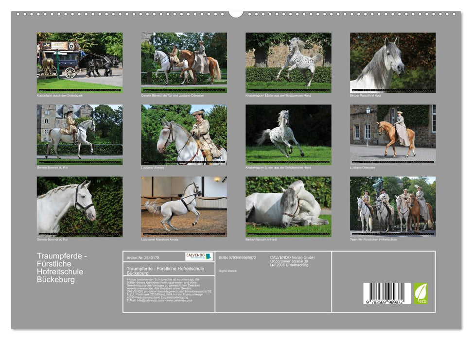 Traumpferde - Fürstliche Hofreitschule Bückeburg (CALVENDO Premium Wandkalender 2027)