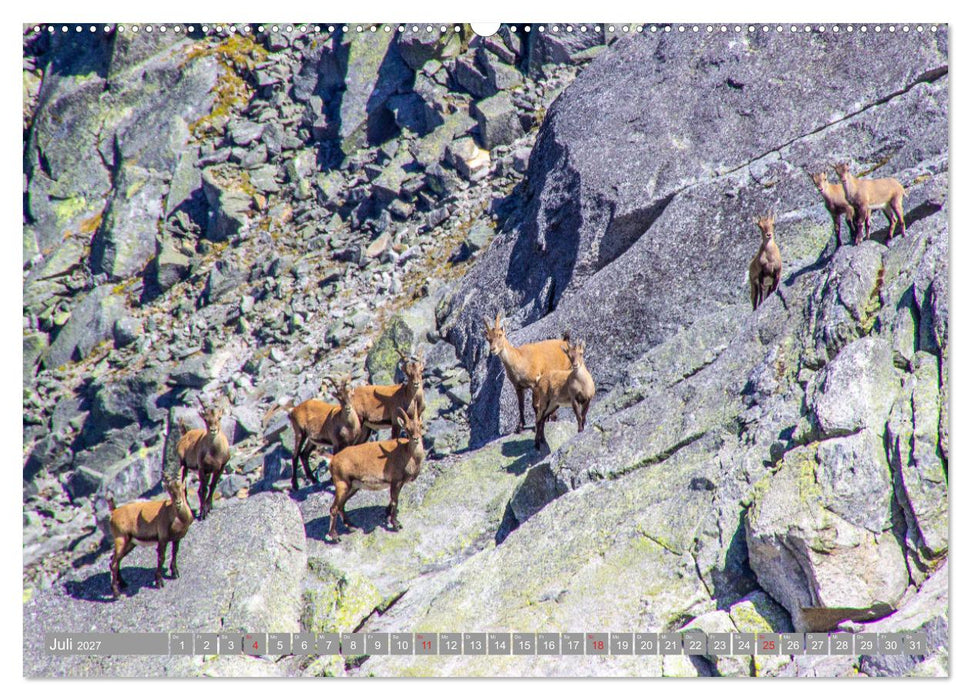 Waidmannsheil und Waidmannsdank (CALVENDO Premium Wandkalender 2027)