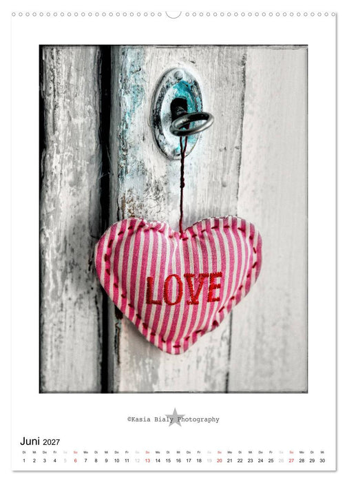 Aus Liebe zum Detail (CALVENDO Premium Wandkalender 2027)