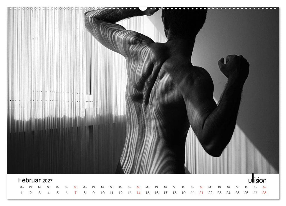 Männer AKT Art (CALVENDO Wandkalender 2027)
