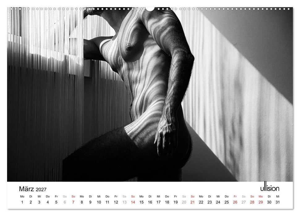 Männer AKT Art (CALVENDO Wandkalender 2027)