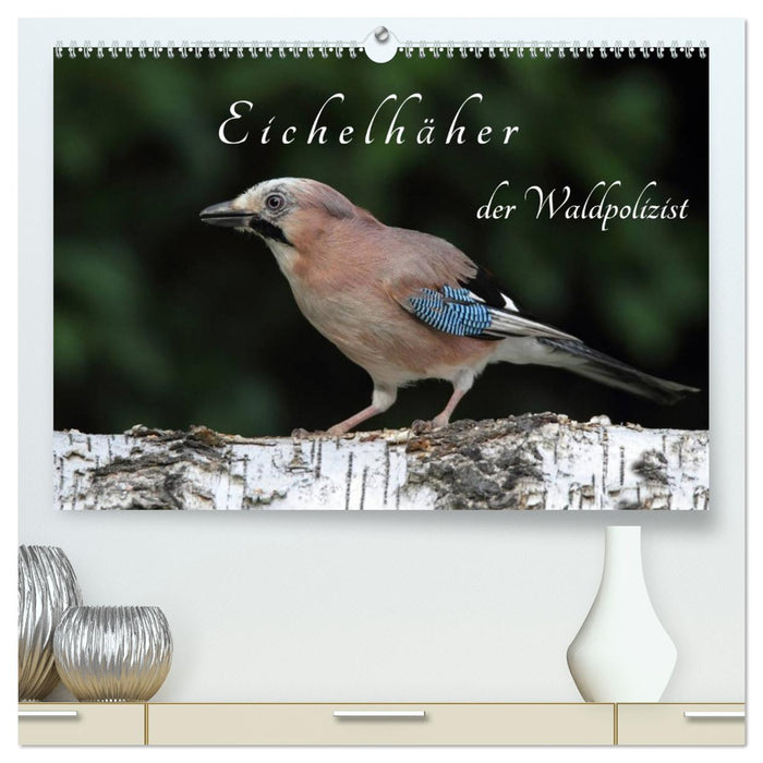 Eichelhäher der Waldpolizist (CALVENDO Premium Wandkalender 2027)