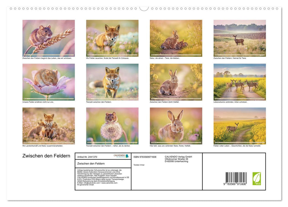 Zwischen den Feldern (CALVENDO Premium Wandkalender 2027)