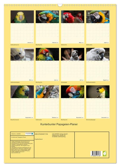 Kunterbunter Papageien-Planer (CALVENDO Wandkalender 2027)