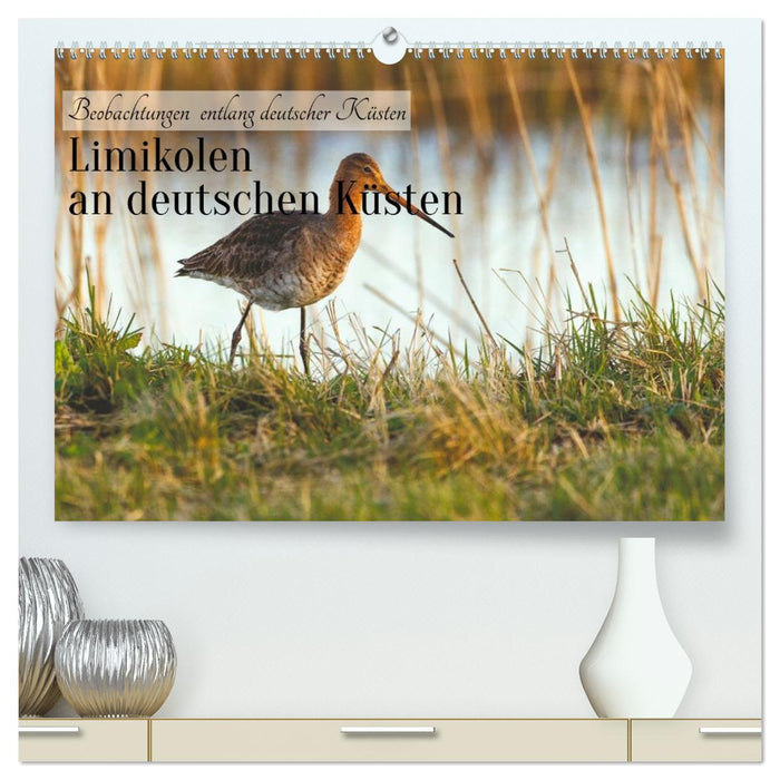 Limikolen an deutschen Küsten (CALVENDO Premium Wandkalender 2027)