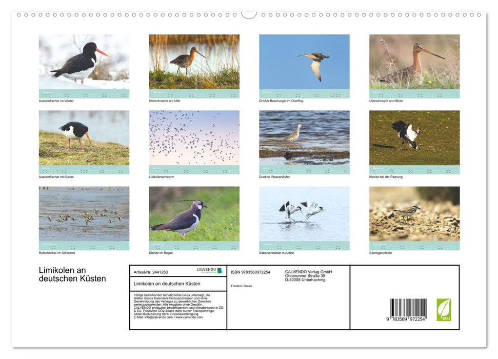 Limikolen an deutschen Küsten (CALVENDO Premium Wandkalender 2027)