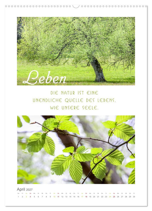 Quellen der Inspiration (CALVENDO Premium Wandkalender 2027)