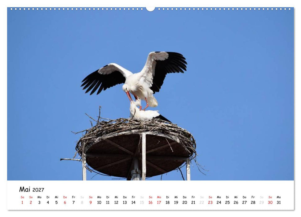 Crailsheim - Stimmungsvolle Momente (CALVENDO Wandkalender 2027)