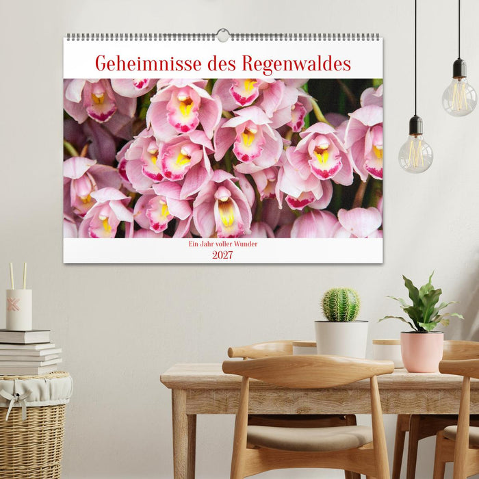 Geheimnisse des Regenwaldes (CALVENDO Wandkalender 2027)