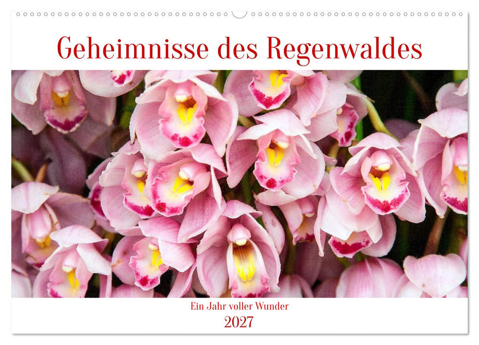 Geheimnisse des Regenwaldes (CALVENDO Wandkalender 2027)
