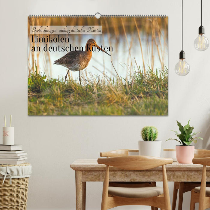 Limikolen an deutschen Küsten (CALVENDO Wandkalender 2027)