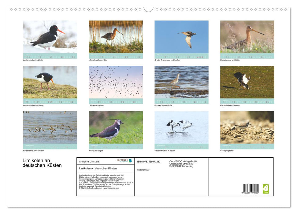 Limikolen an deutschen Küsten (CALVENDO Wandkalender 2027)