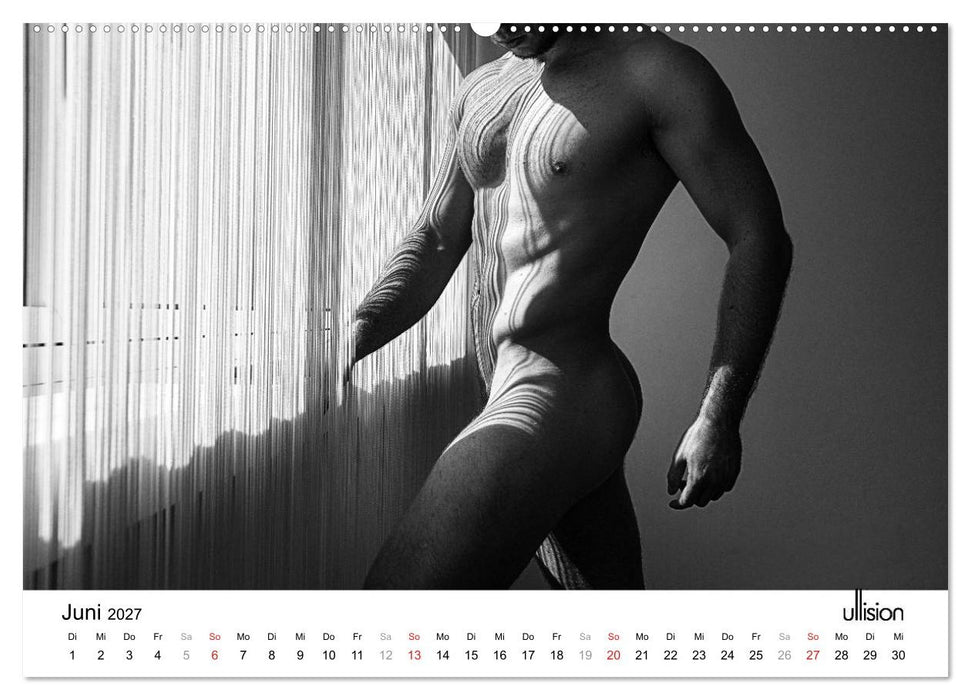 Männer AKT Art (CALVENDO Premium Wandkalender 2027)