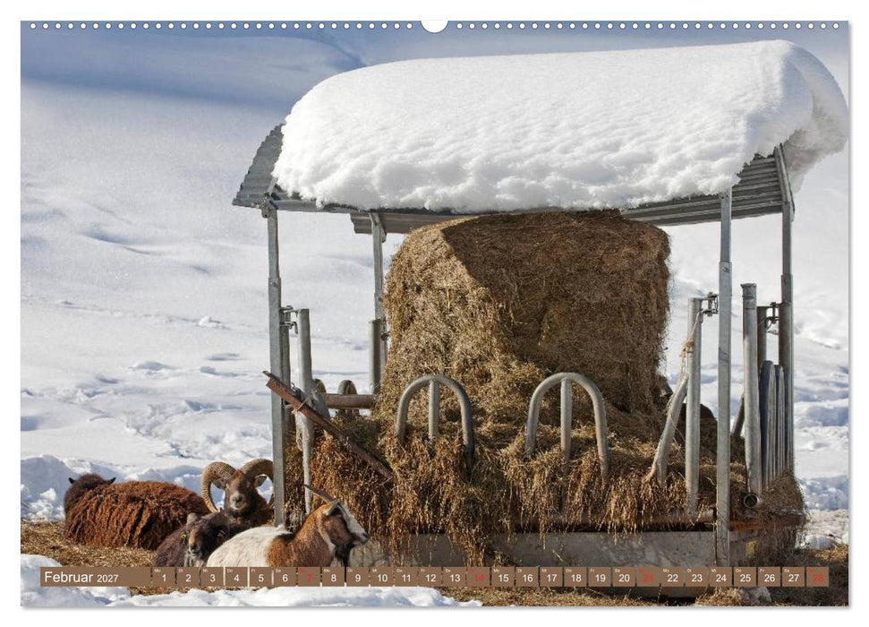 Waidmannsheil und Waidmannsdank (CALVENDO Wandkalender 2027)
