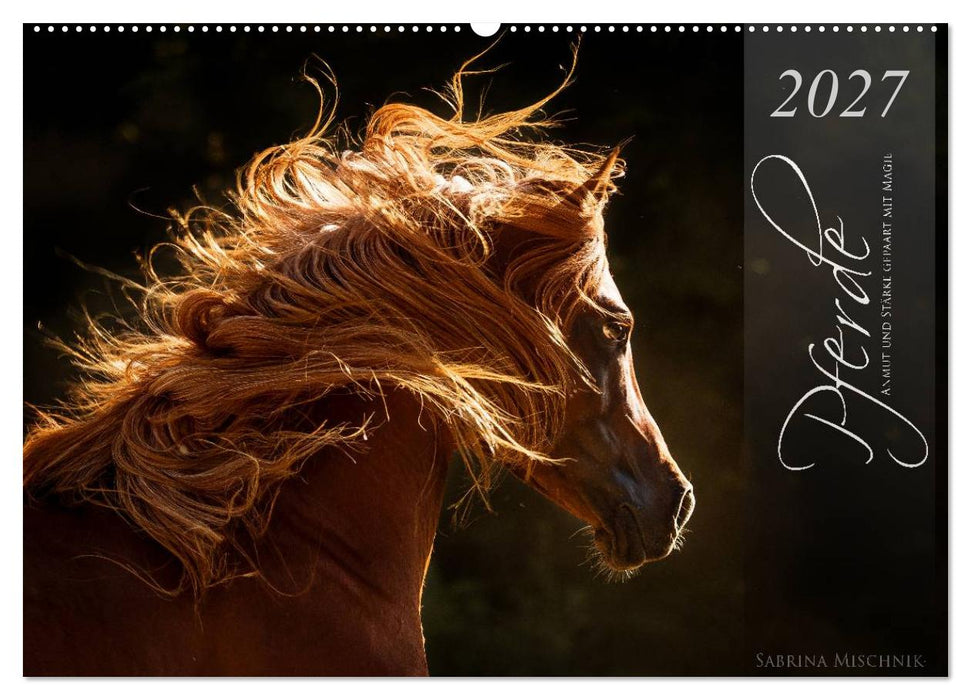 Pferde - Anmut und Stärke gepaart mit Magie (CALVENDO Wandkalender 2027)