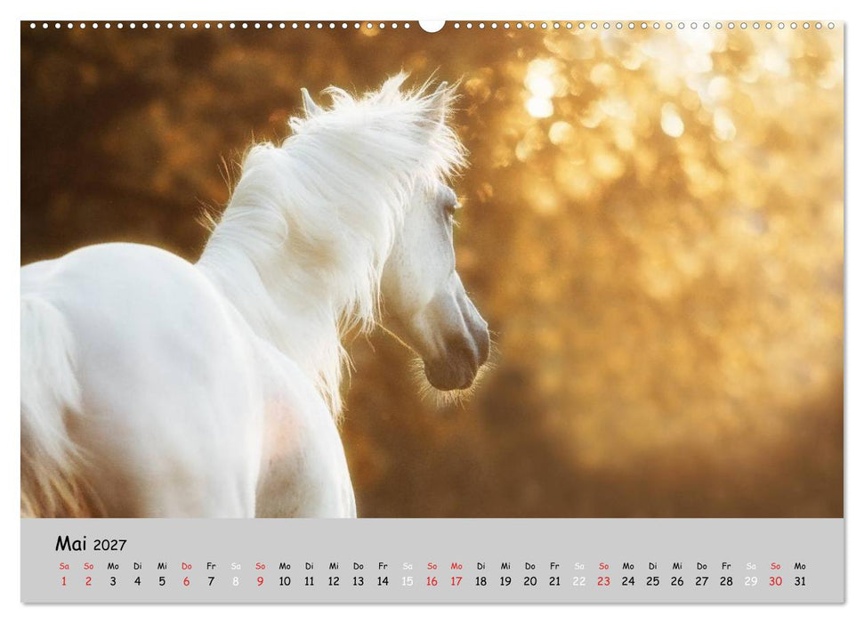 Pferde - Anmut und Stärke gepaart mit Magie (CALVENDO Wandkalender 2027)