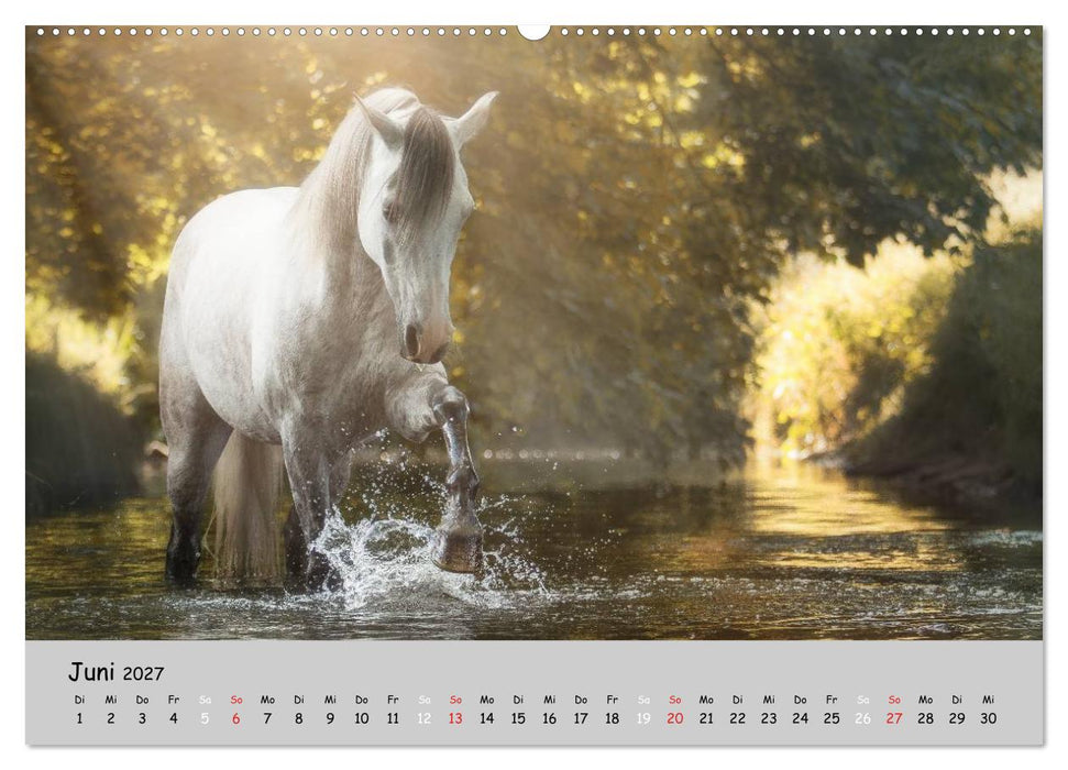 Pferde - Anmut und Stärke gepaart mit Magie (CALVENDO Wandkalender 2027)