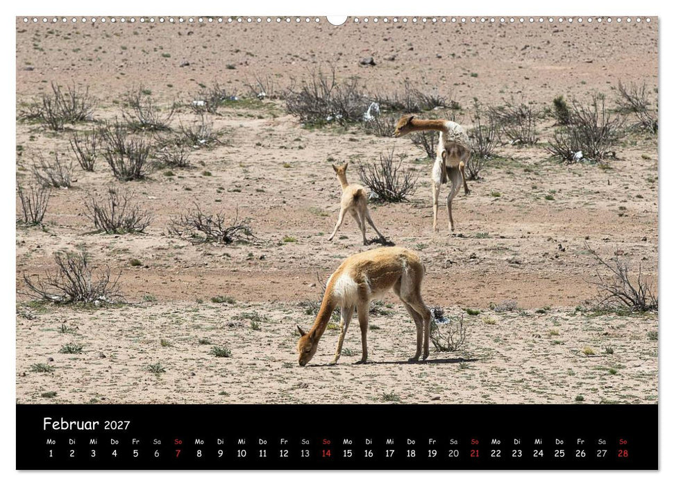 Traumziel Peru (CALVENDO Wandkalender 2027)