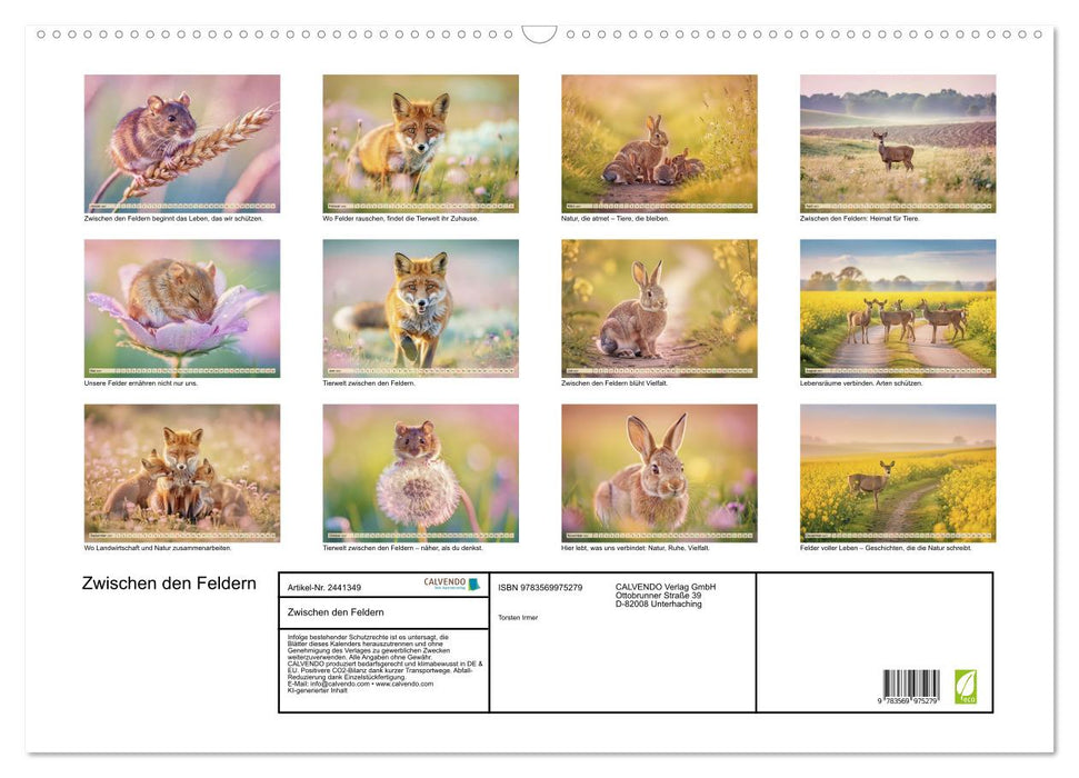 Zwischen den Feldern (CALVENDO Wandkalender 2027)