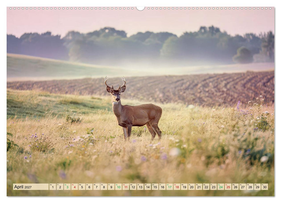 Zwischen den Feldern (CALVENDO Wandkalender 2027)
