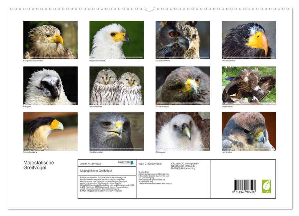 Majestätische Greifvögel (CALVENDO Premium Wandkalender 2027)