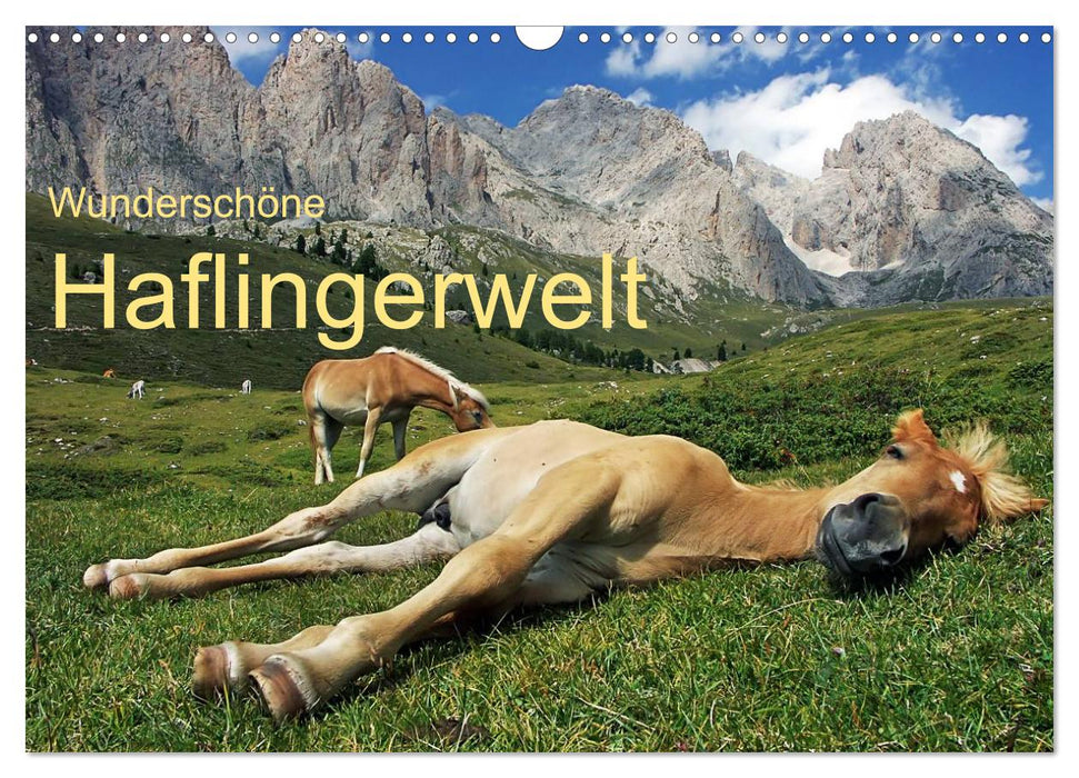 Wunderschöne Haflingerwelt (CALVENDO Wandkalender 2027)