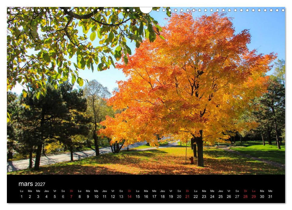Paysages d'Automne au Québec (CALVENDO Calendrier mensuel 2027)