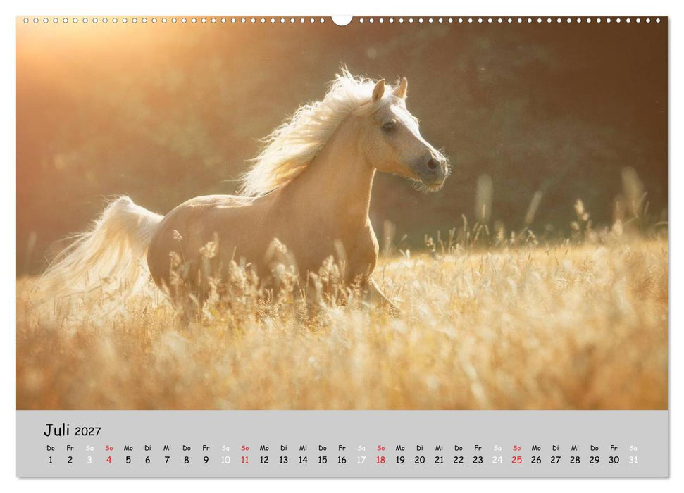 Pferde - Anmut und Stärke gepaart mit Magie (CALVENDO Premium Wandkalender 2027)