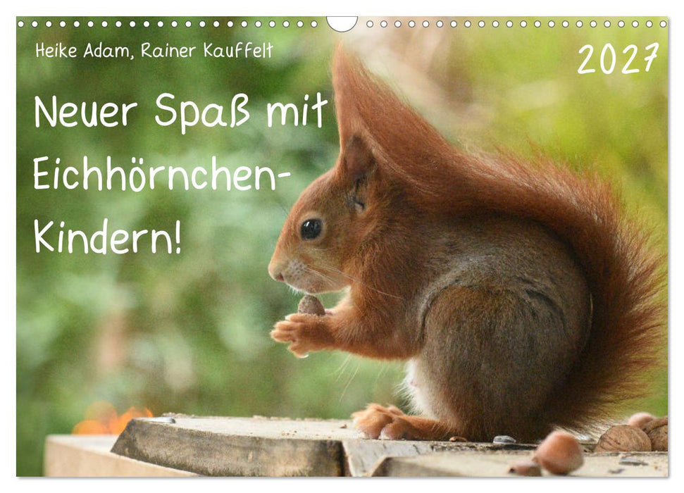 Neuer Spaß mit Eichhörnchen-Kindern (CALVENDO Wandkalender 2027)