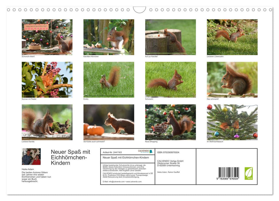 Neuer Spaß mit Eichhörnchen-Kindern (CALVENDO Wandkalender 2027)