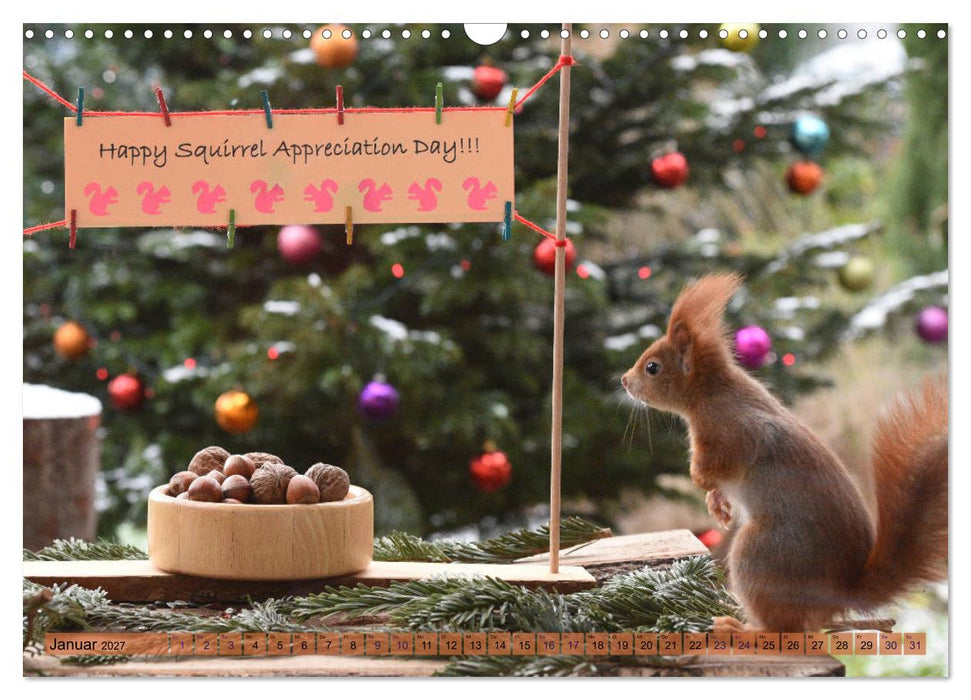 Neuer Spaß mit Eichhörnchen-Kindern (CALVENDO Wandkalender 2027)