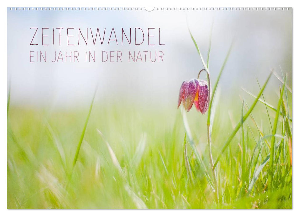 Zeitenwandel - Ein Jahr in der Natur (CALVENDO Wandkalender 2027)