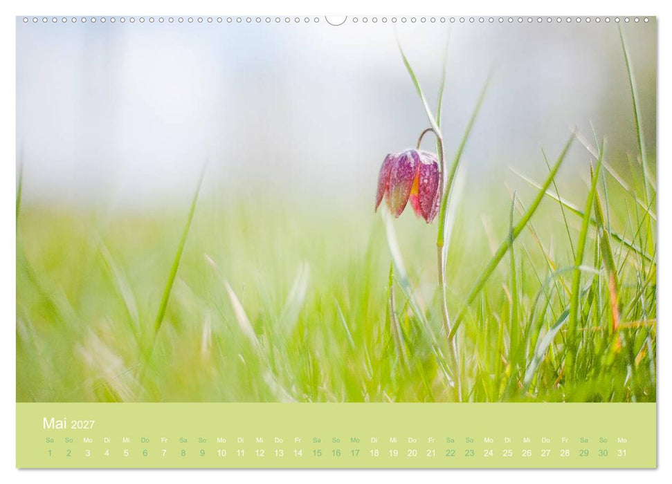 Zeitenwandel - Ein Jahr in der Natur (CALVENDO Wandkalender 2027)