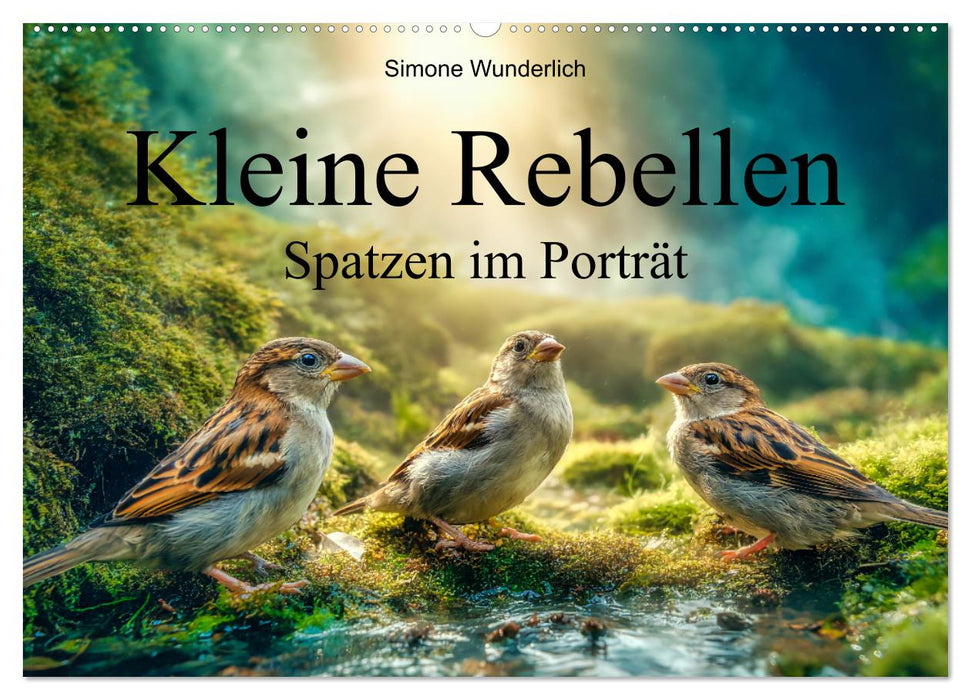 Kleine Rebellen - Spatzen im Porträt (CALVENDO Wandkalender 2027)