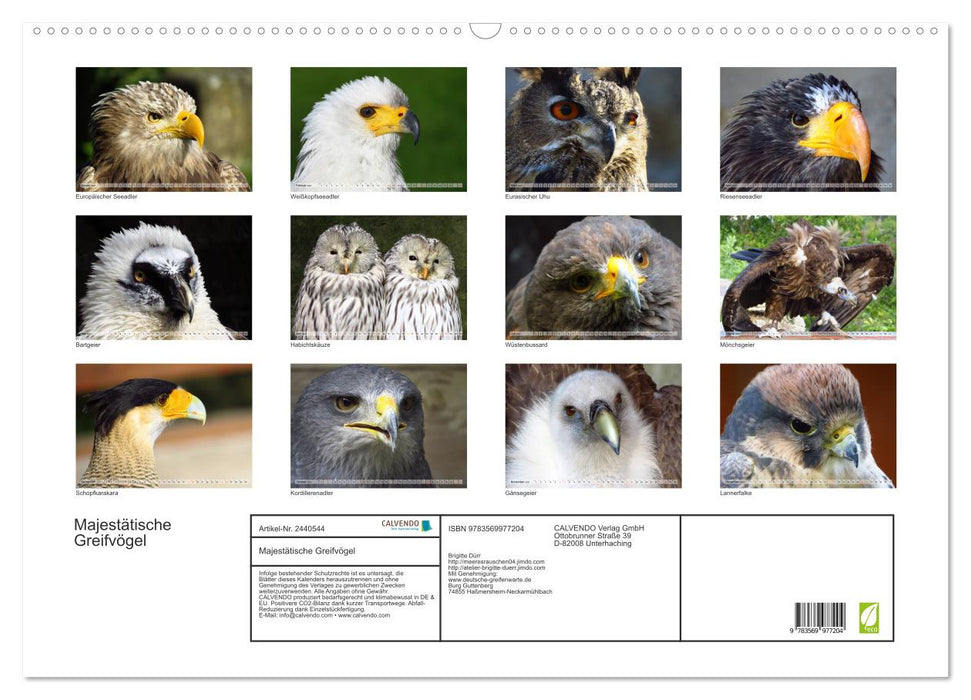 Majestätische Greifvögel (CALVENDO Wandkalender 2027)