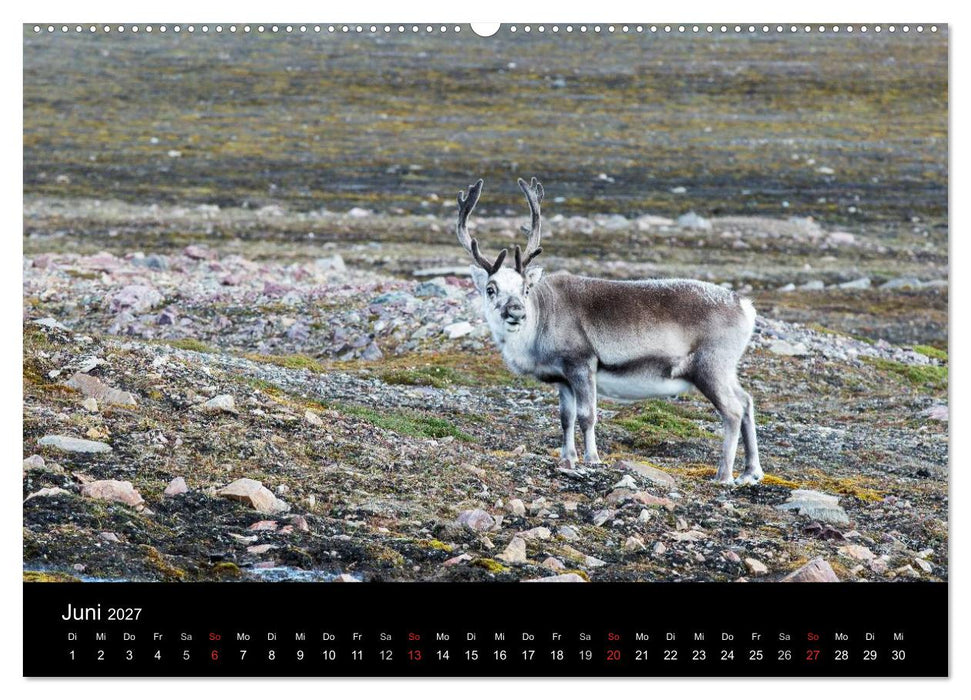TRAUMZIEL ARKTIS, Impressionen vom Rand der Welt (CALVENDO Premium Wandkalender 2027)