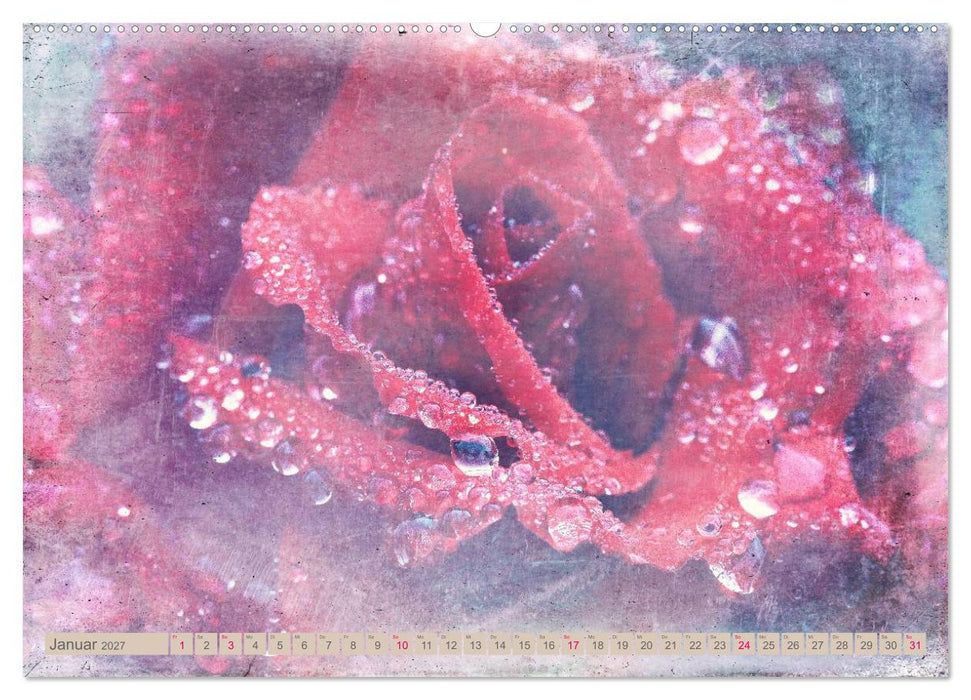 Rosenduft Shabby Chic Style (CALVENDO Wandkalender 2027)