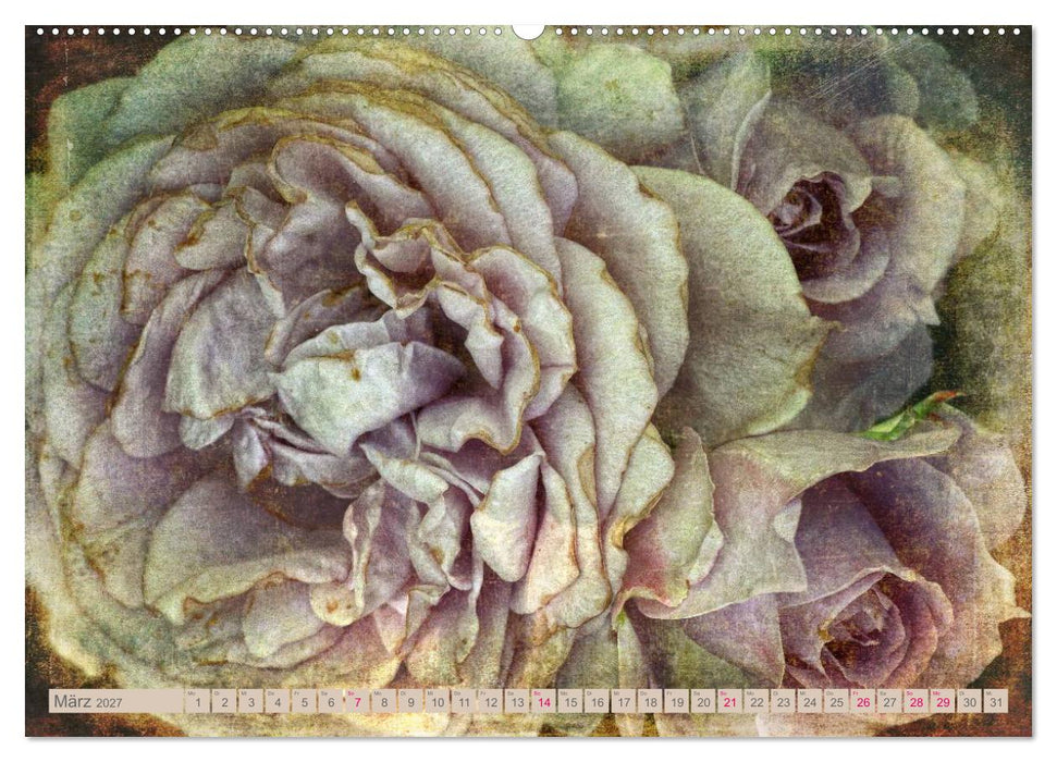 Rosenduft Shabby Chic Style (CALVENDO Wandkalender 2027)